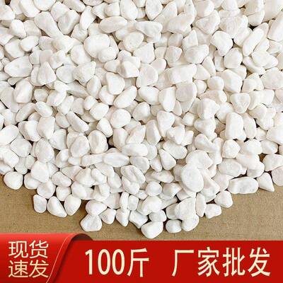 10园0斤白石KVQ子白石头白鹅卵石庭院造色景铺路花白阳台铺地色砾