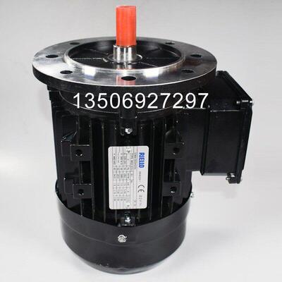Riello燃烧器电机Liya油泵电机Rs70 Rs100 Rs130 Rs190 Rs250