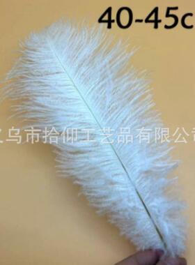 白色优质细杆鸵鸟毛15-60CM婚庆装饰彩色羽毛插花长鸵鸟羽毛服装