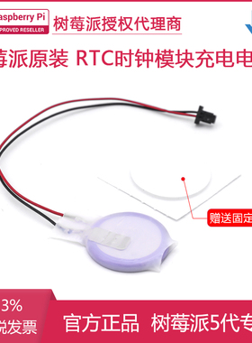 树莓派官方RTC Battery时钟模块电池可充电 JST接口供电 Pi 5