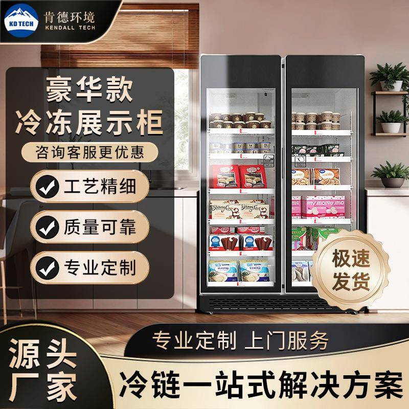 冷冻展示柜商用冰柜立式食品冻品低温速度柜冰淇淋超市冰箱定制