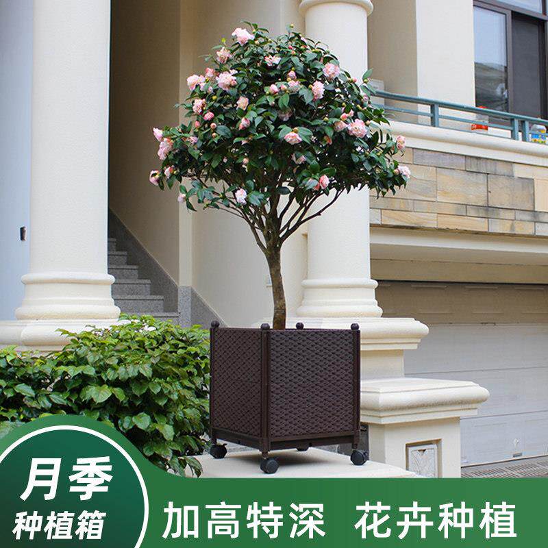 种植箱种菜花盆月季塑料盆家庭箱子室外阳台大号菜盆花槽户外花箱