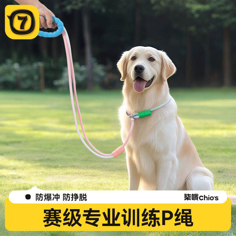 狗狗牵引绳防爆冲p绳中小型犬防挣脱链大型犬拴狗绳套脖遛狗用品