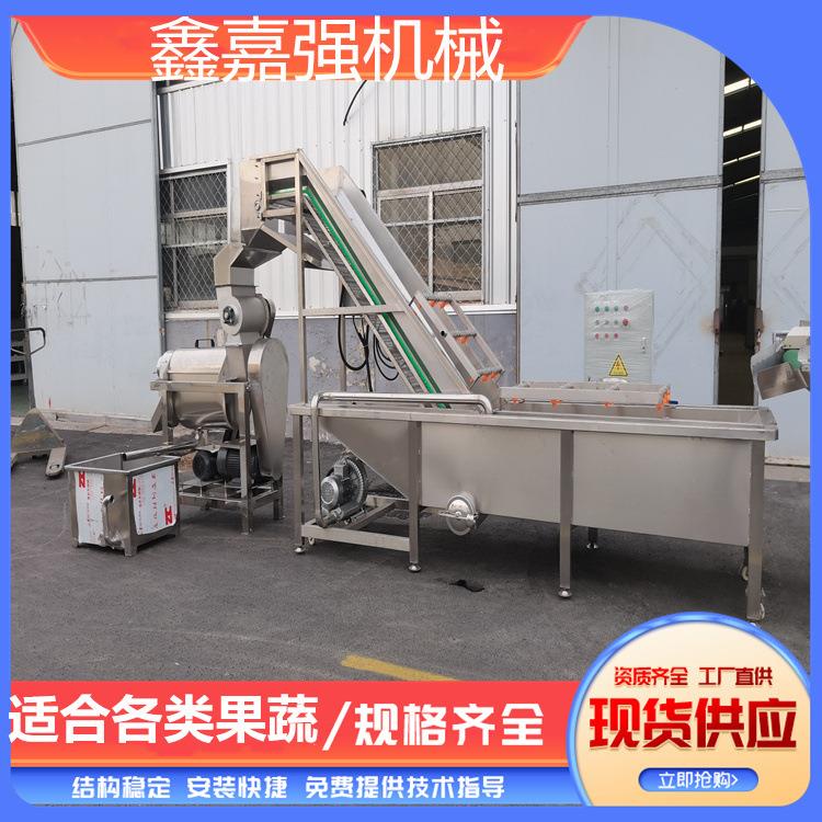 大型果蔬工业苹果梨榨汁机不锈钢橘子去皮打浆机毛桃去核果汁机