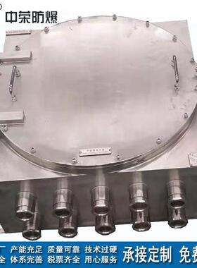 不锈钢IIC防爆配电箱 ccs船检认证仪表检修隔爆控制箱 石油厂家