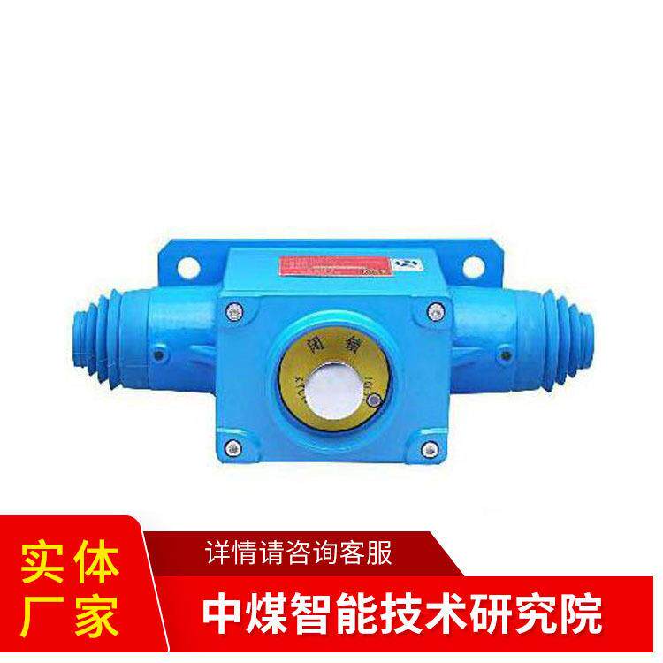 矿用双向拉线式急停开关ZLS-12厂家直营操作简便现货速发现货直发