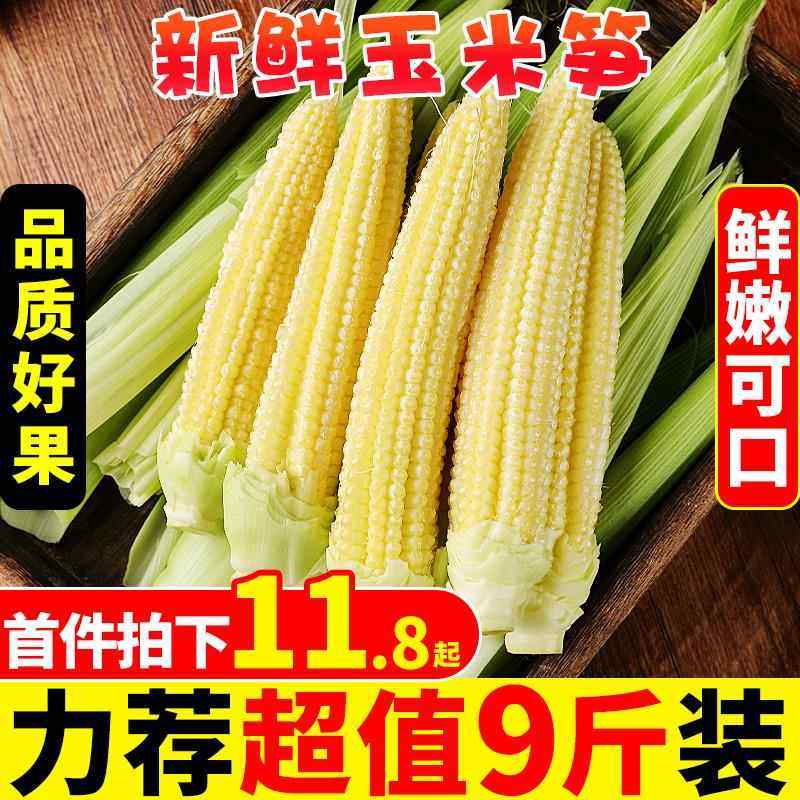 新鲜甜玉米笋9斤迷你小玉米芯仔蔬菜嫩玉米棒水果玉米包邮10,水产肉类/新鲜蔬果/熟食,新鲜玉米,淘宝优惠券,粉丝福利购,淘宝优惠卷