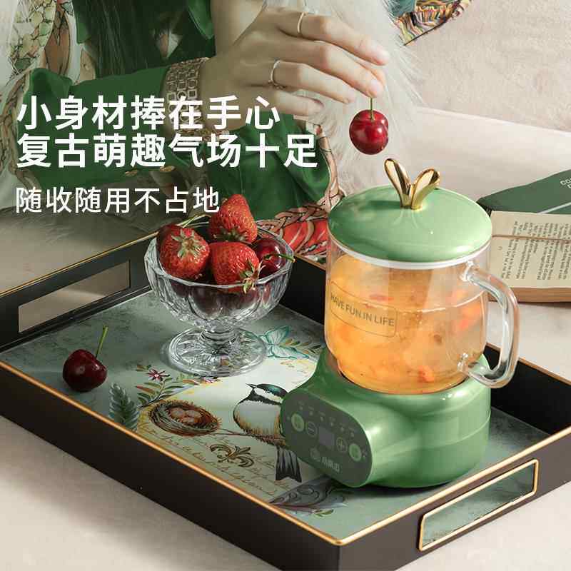 小南D1瓜全茶玻璃养生壶养生煮壶小型多功家用生烧水能壶办公室养