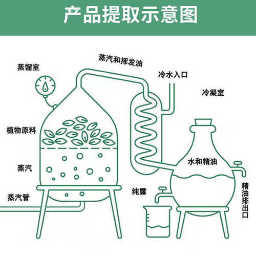 蒸馏纯纯马鞭草萃取洋甘菊酮露薄荷露纯露艾草1000ml纯迷迭香露