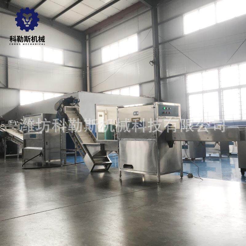 洋葱加工设备现货东北小红葱脱皮机 洋葱流水线价格