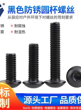 4x4→4x50黑色防锈圆杯螺丝ISO7380不锈钢螺丝圆头内六角螺丝