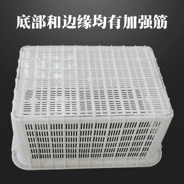 厂家蓝色食品周转箱 820密眼塑料筐 蔬菜水果周转筐 加厚大筐,橡塑材料及制品,塑料盒/塑料箱/塑料柜,淘宝优惠券,粉丝福利购,淘宝优惠卷