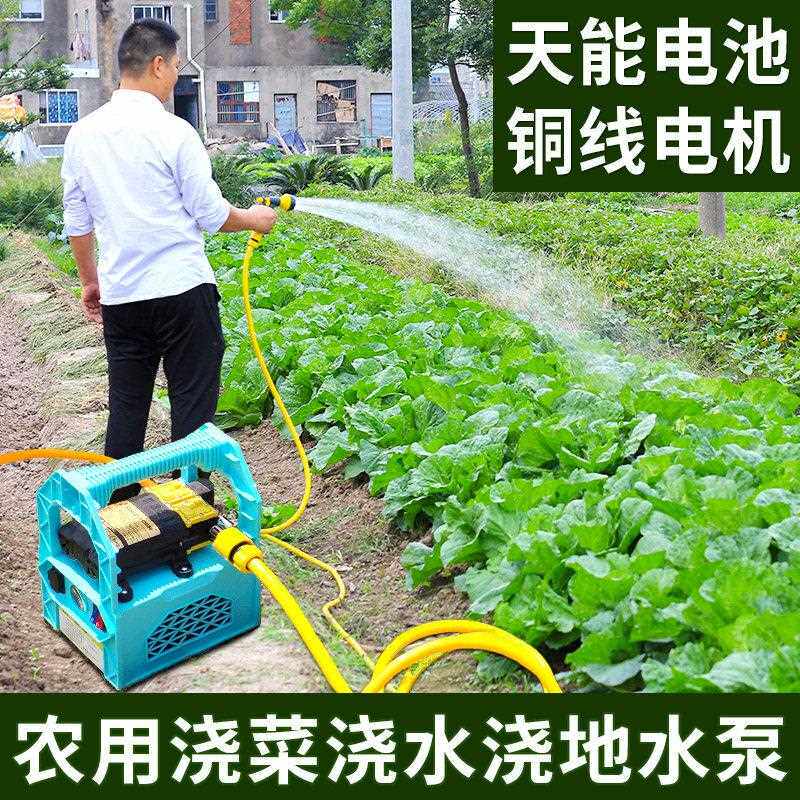 充电水泵浇菜户外农用灌溉便携式充电抽水泵12v浇地浇菜水泵吸水