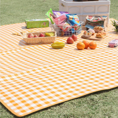 野餐垫防潮垫加厚防水携带野餐垫