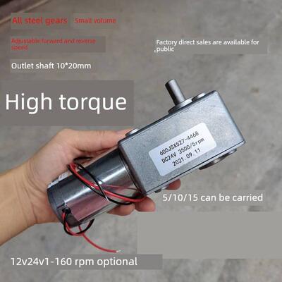 蜗轮直流减速电机超级转矩高转矩Dc12V24V40瓦正反调速