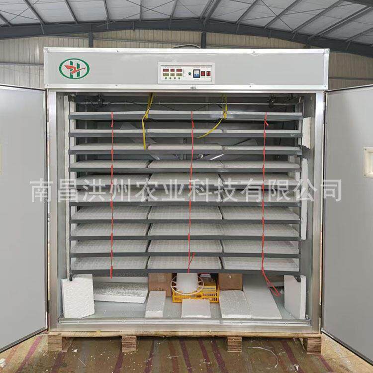 非洲货源洪州全自动孵化机家用型孵化器鸡鸭鹅孵蛋机卵化设备抱蛋
