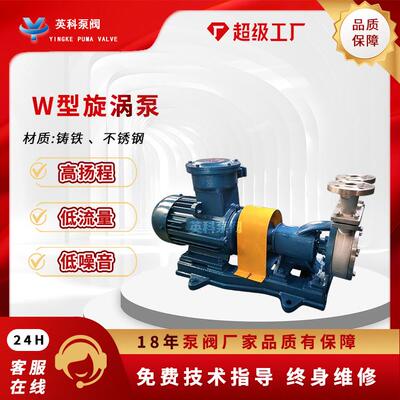 旋涡泵32W-30单级悬臂式耐腐蚀不锈钢304离心防爆锅炉高压漩涡泵