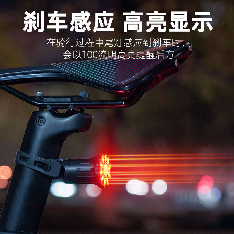 西骑者自行车炫彩尾灯山地车夜骑高亮感应警示灯公路车灯骑行配件