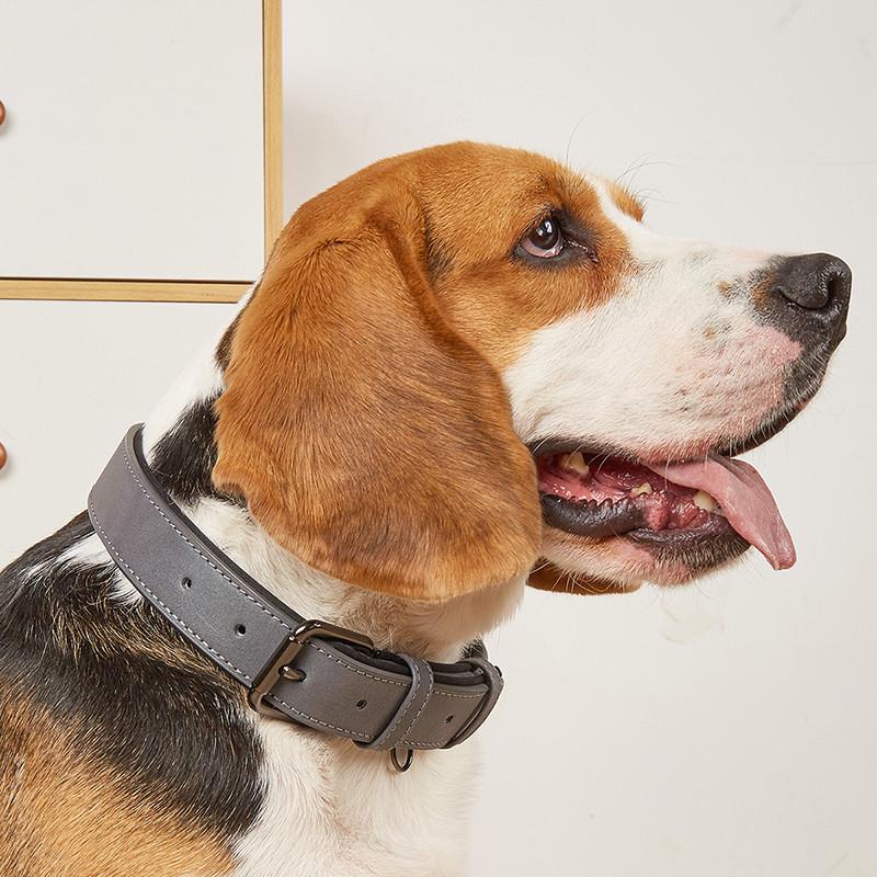 反光狗狗项绳子刻字猫圈牌脖圈小型犬中犬型宠物咪猫狗牌定制防丢