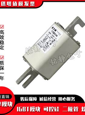 170M3138 170M3139 170M3140 170M3141 170M3142熔断器170M3143