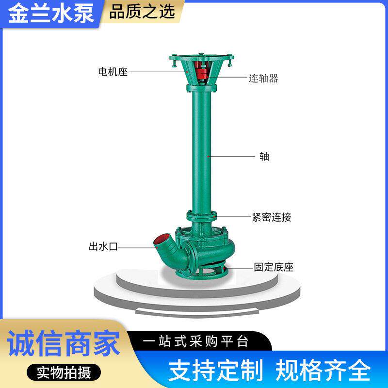 NL200-18型立式泥浆泵30KW液下铸铁买送距1500米送距远抽水泵远送