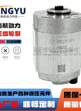 卡普罗尼Caproni齿轮泵3337975/林德叉车10A4.2X302B泵10A2液压泵