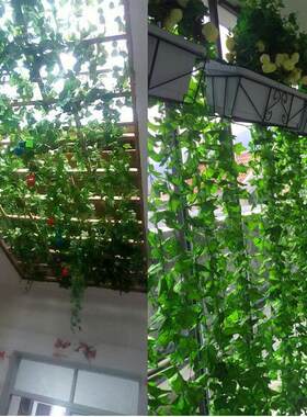 加世仿真绿萝叶假花藤条葡萄树叶吊顶管道装饰藤蔓塑料绿植物缠绕
