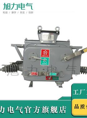 供应真空开关ZW20-12M/60永磁 PT 看门狗 三相合成零序ZW21 现货