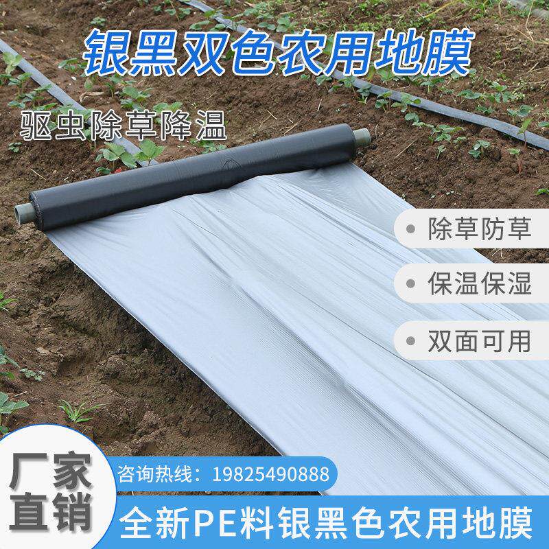 双色银黑地膜反光除草防虫保湿农用薄膜葡萄银灰净重地膜果园用膜