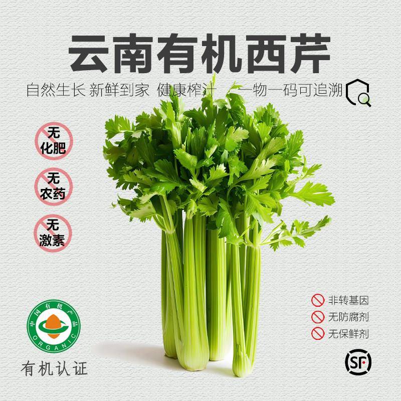 云南有机西芹 新鲜采摘无农残芹菜专用榨汁蔬菜有机菜轻食榨汁