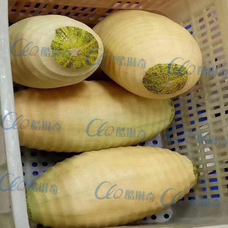 萝A水削XJZ果罐头厂凤梨菠削皮木瓜去皮机哈密瓜皮机厚薄可机调