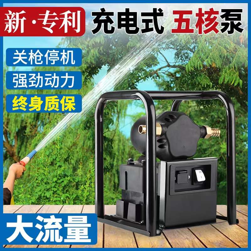 充电式抽水泵大流量农用浇地灌溉浇菜户外抗旱大功率井水自吸