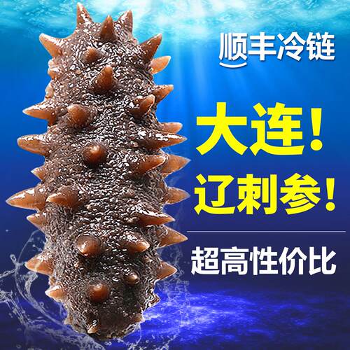 大连底播海参即食海参独立袋装鲜食海参辽刺参滋补款实惠一斤500g