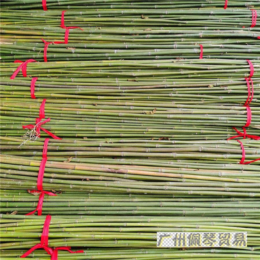 竹竿子搭架菜园竹片竹竿杆细竹条豆角黄瓜西红柿瓜果蔬菜爬藤架子