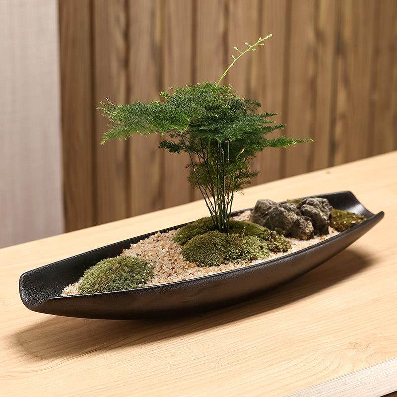 长盆景陶瓷花盆微景观黑皮革釉面北欧简约球藓蕨类植物花卉创意