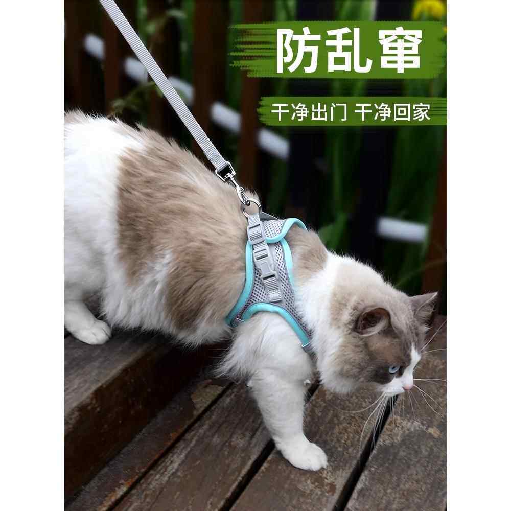 猫咪牵引绳遛猫绳外出溜猫绳栓猫绳牵猫绳防挣脱猫猫可调节背心式