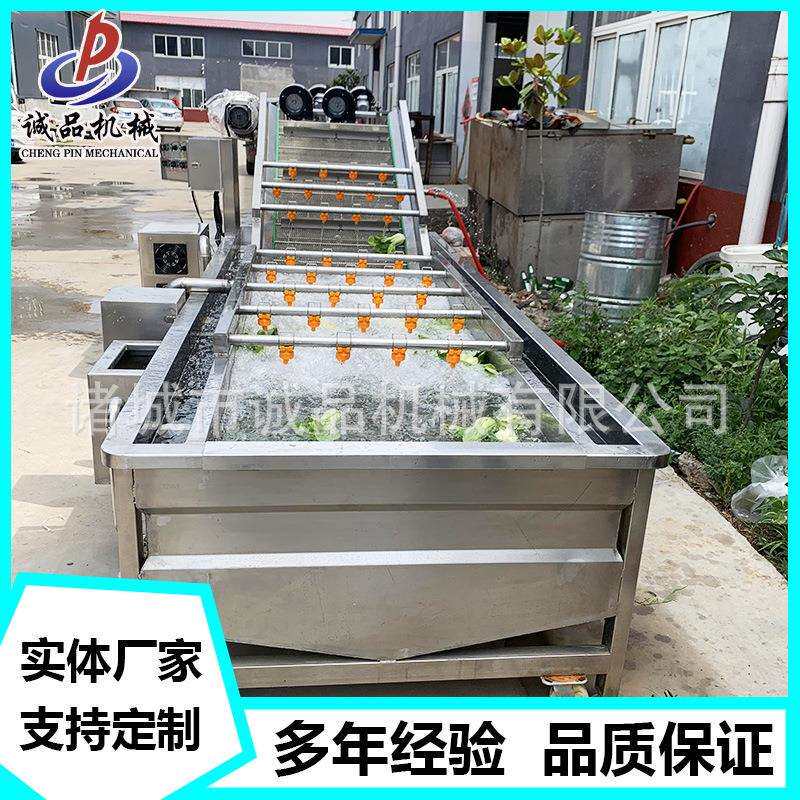 黄瓜豆角果蔬气泡清洗机西红柿喷淋式洗菜机土豆红薯气泡清洗机