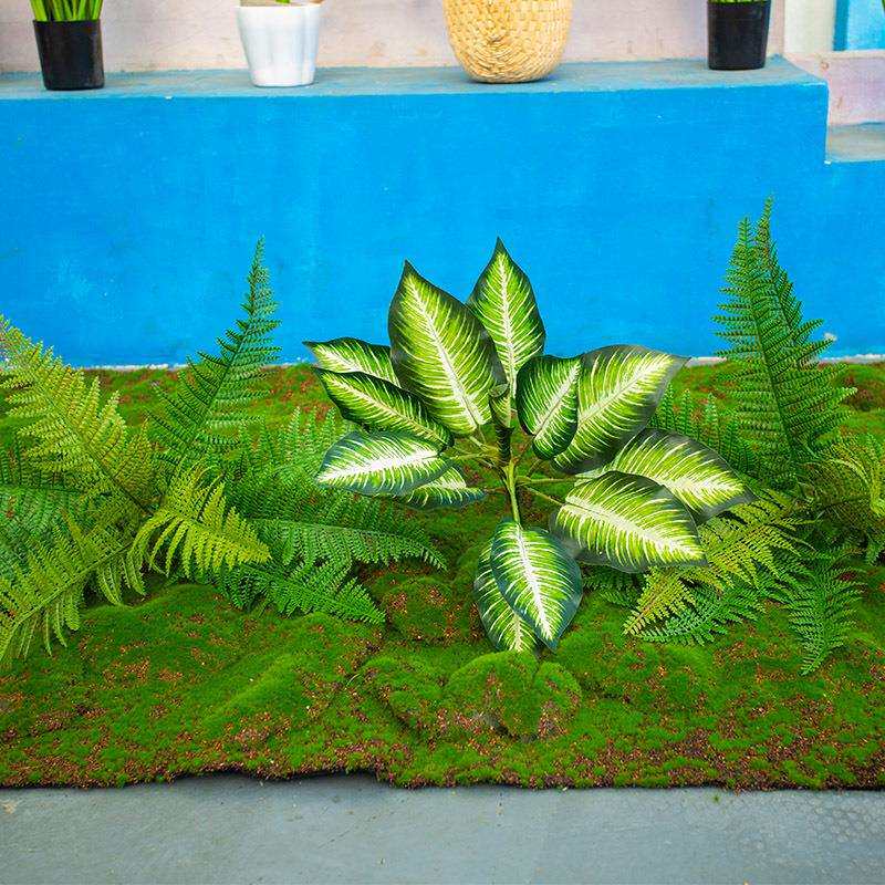 仿真青苔人造草坪室内盆景造景石长草假苔藓植物墙背景装饰微景观