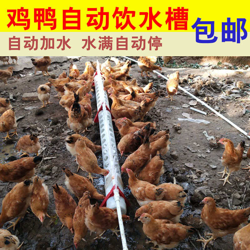 鸭子水器喂散养水槽用水槽喂饮水器家禽鹅禽类用自动喝饮水槽鸡