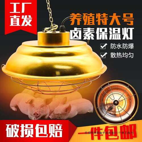 保温灯泡养殖场卤素保温灯猪用仔猪育雏鸡节能灯可调温带灯罩