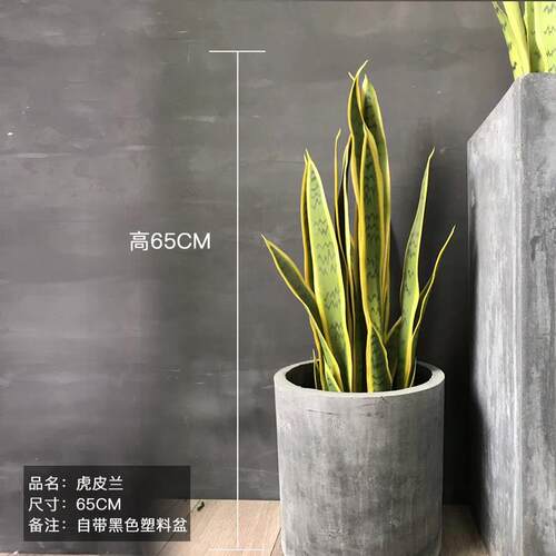 高档模拟物植盆物景绿色植落装饰家居室内客厅地式装饰品假龙舌兰