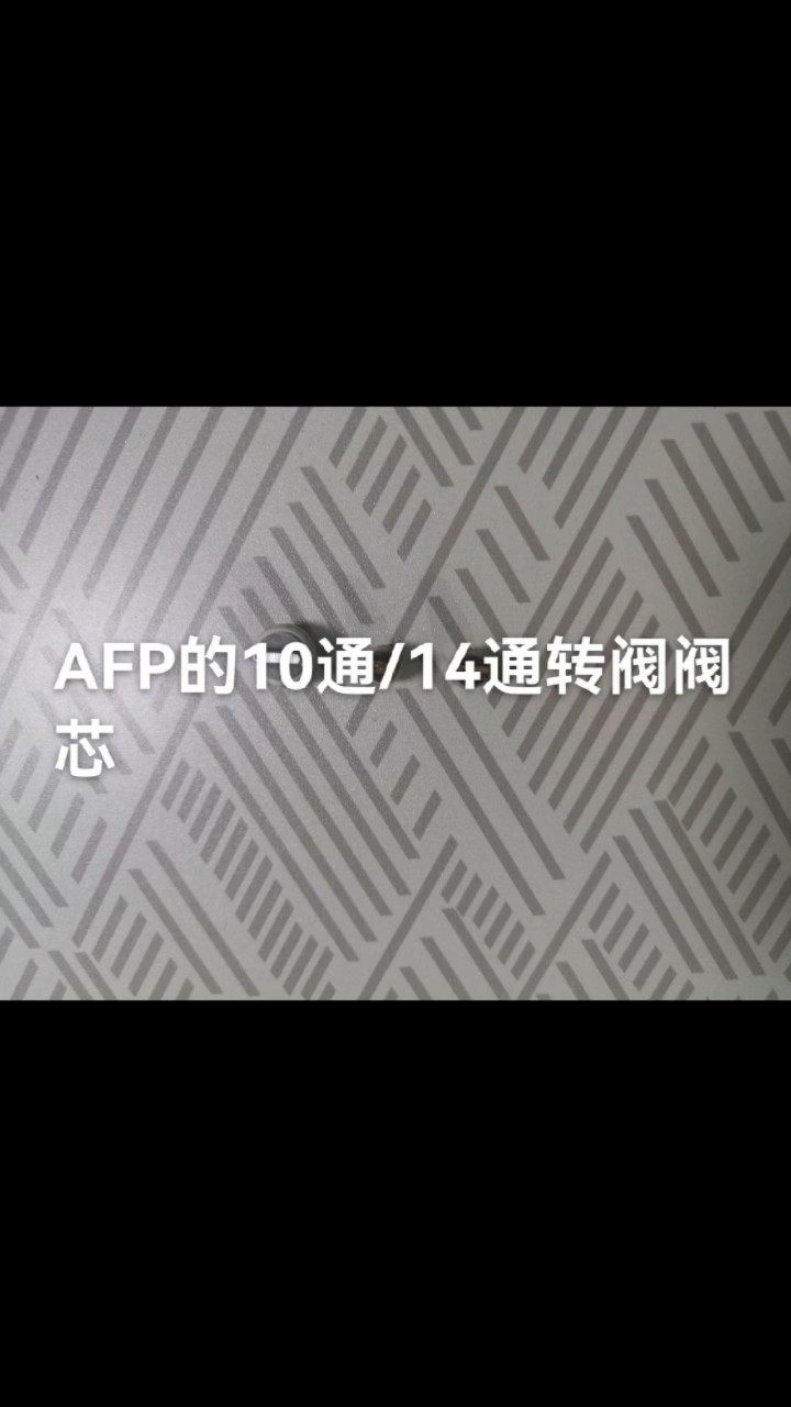 AFP的10通/14通转阀阀芯