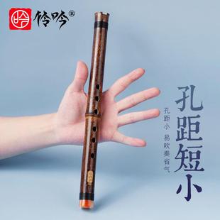 高档初学洞箫零基础儿F紫竹萧短乐器迷童便携高级孔G调E专业短六