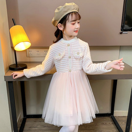 女童公主裙早秋韩版加绒立领蓬蓬裙小女孩，冬装连衣裙.