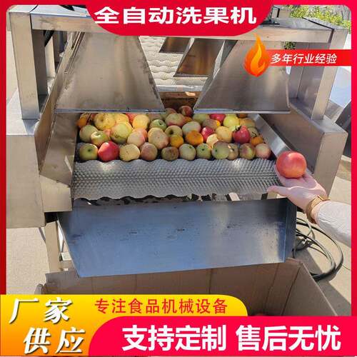 全自动西梅清洗分级机油桃清洗风干打蜡线大型果蔬清洗选果设备