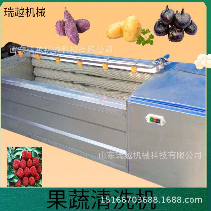 瑞越玉米去须清洗机 核桃仁毛辊脱皮清洗机 白山芋清洗去皮设备