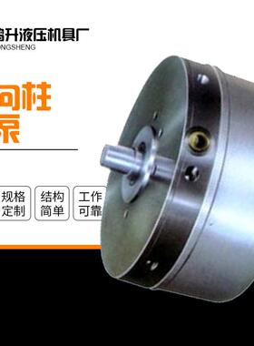 机床静压大排量RK径向塞泵体量积柱小低高噪音变超压径向柱XLR塞