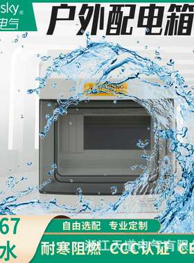 厂家直供ABS灰色透明阻燃耐高温配电箱防水户外TD-MCE系列配电箱