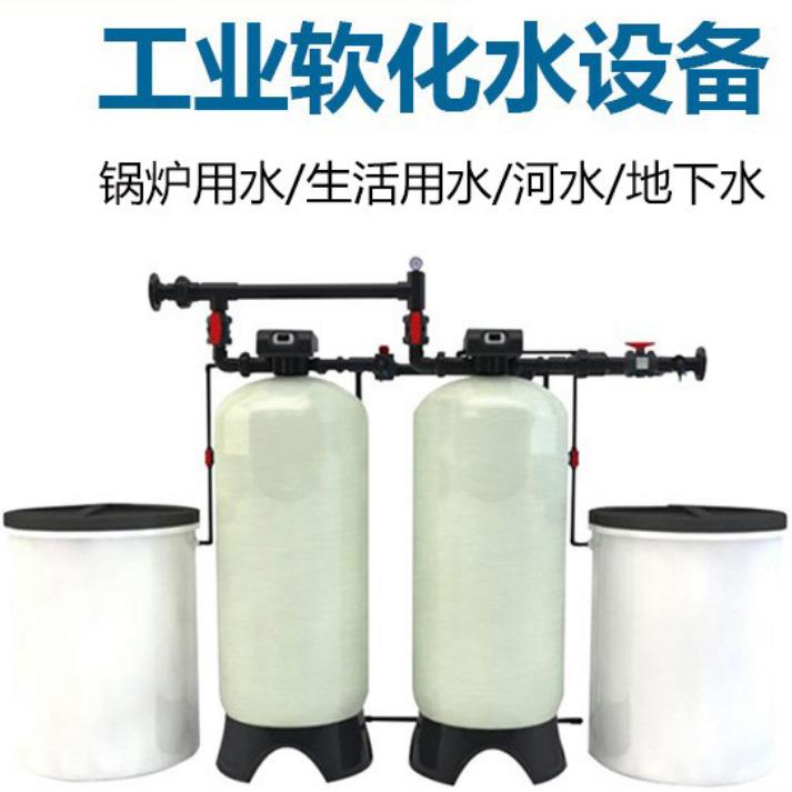 浴池除水垢软水机一体化软水器全自动水处理设备软化设备R10