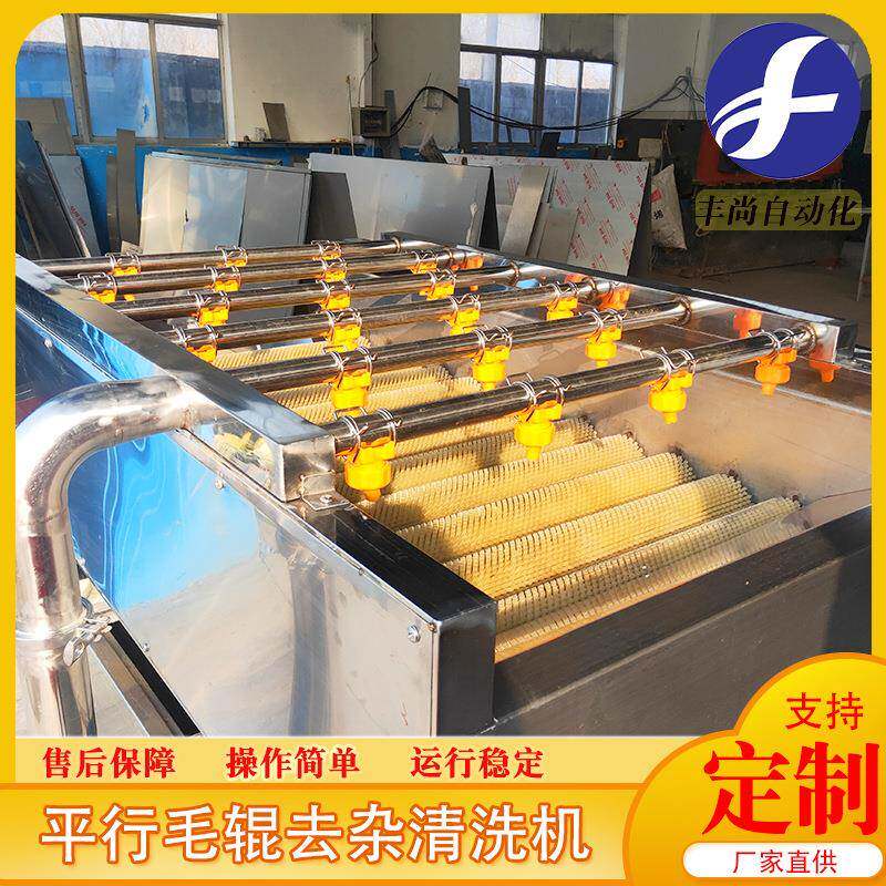 供应橘子苹果磨皮抛光清洗机食品高压喷淋平行式清洗机设备
